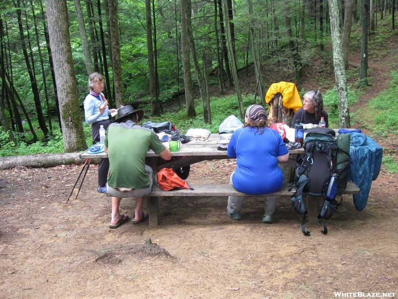 Brown Mtn Creek Shelter, Va