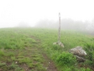 Cole Mtn Meadow Va by Rain Man in Thru - Hikers