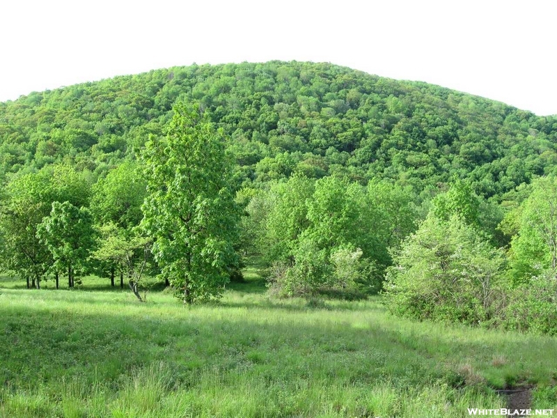 Tar Jacket Ridge, Va