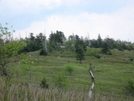 Thomas Knob Shelter, Va by Rain Man in Virginia & West Virginia Shelters