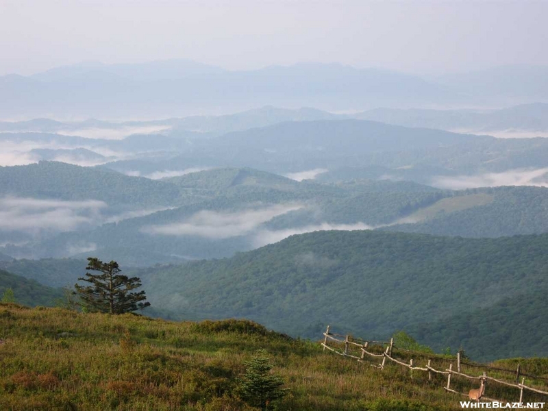 Thomas Knob Shelter, Va