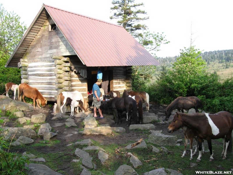 Thomas Knob Shelter, Va