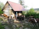 Thomas Knob Shelter, Va