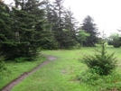 Grayson Highlands, Va by Rain Man in Views in Virginia & West Virginia