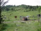 Grayson Highlands, Va by Rain Man in Views in Virginia & West Virginia