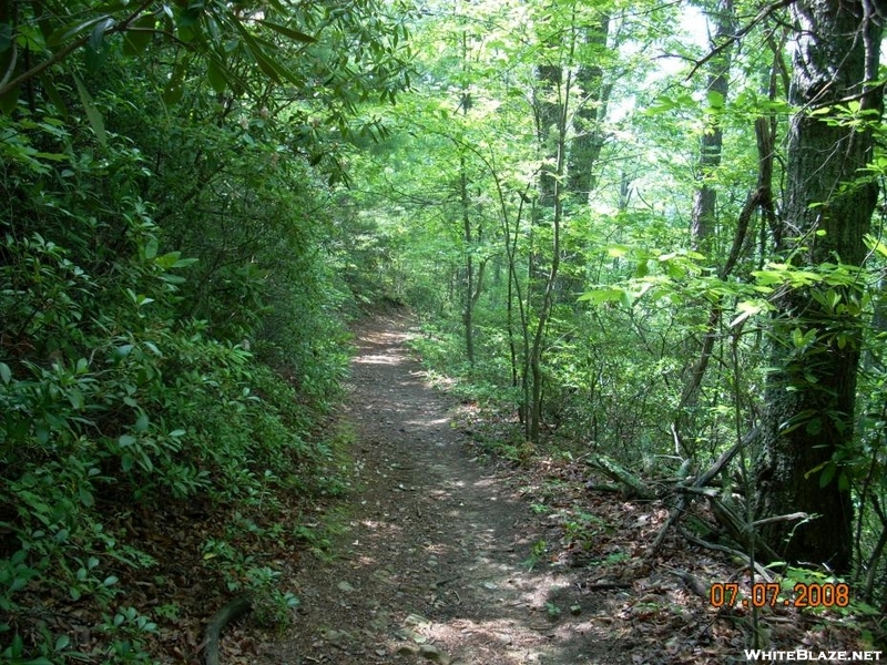 Trail Into Virginia