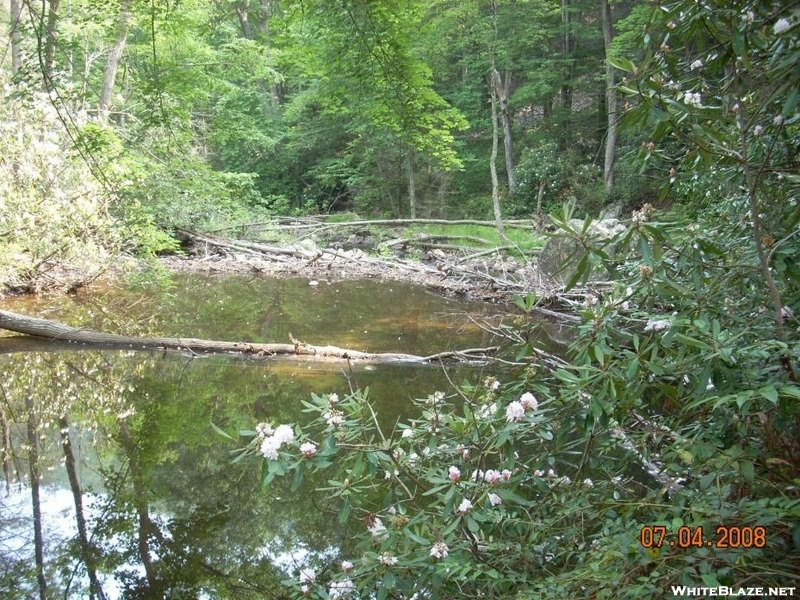 Laurel Fork Beaver Dam Tn