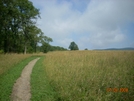 Cross Mtn Accessible Trail, Tn