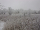 Beech Mtn, Va by Rain Man in Trail & Blazes in Virginia & West Virginia