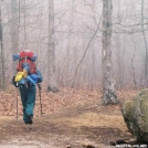 GrassPicker in GA by Rain Man in Thru - Hikers