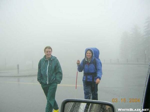 GrassPicker & Tortise, GSMNP