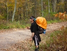 Hawk At Sugar Run Gap, Va by Rain Man in Thru - Hikers