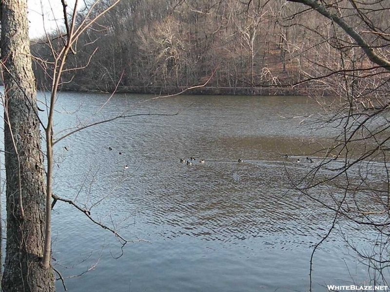 Radnor Lake SNA, Nashville