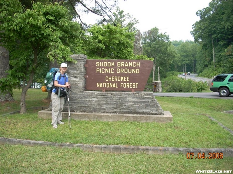 Shook Branch On Watauga Lake, Tn