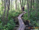 Swamp walking, NY