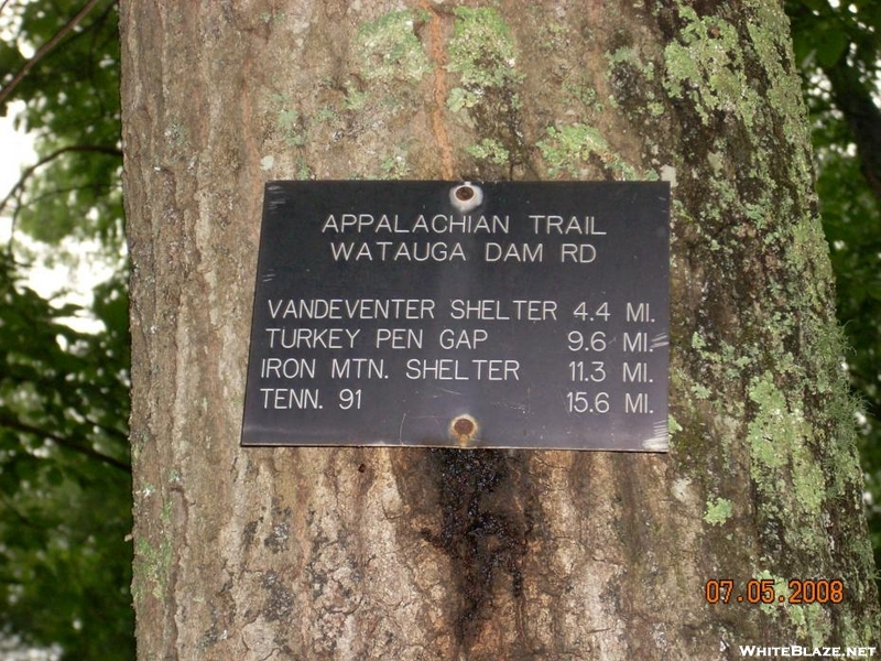 Trail Sign Near Watauga Lake, Tn