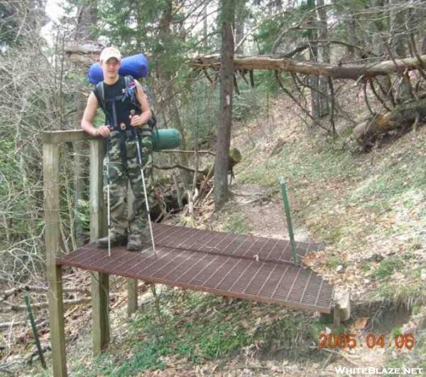 Wild Boar barrier, GSMNP