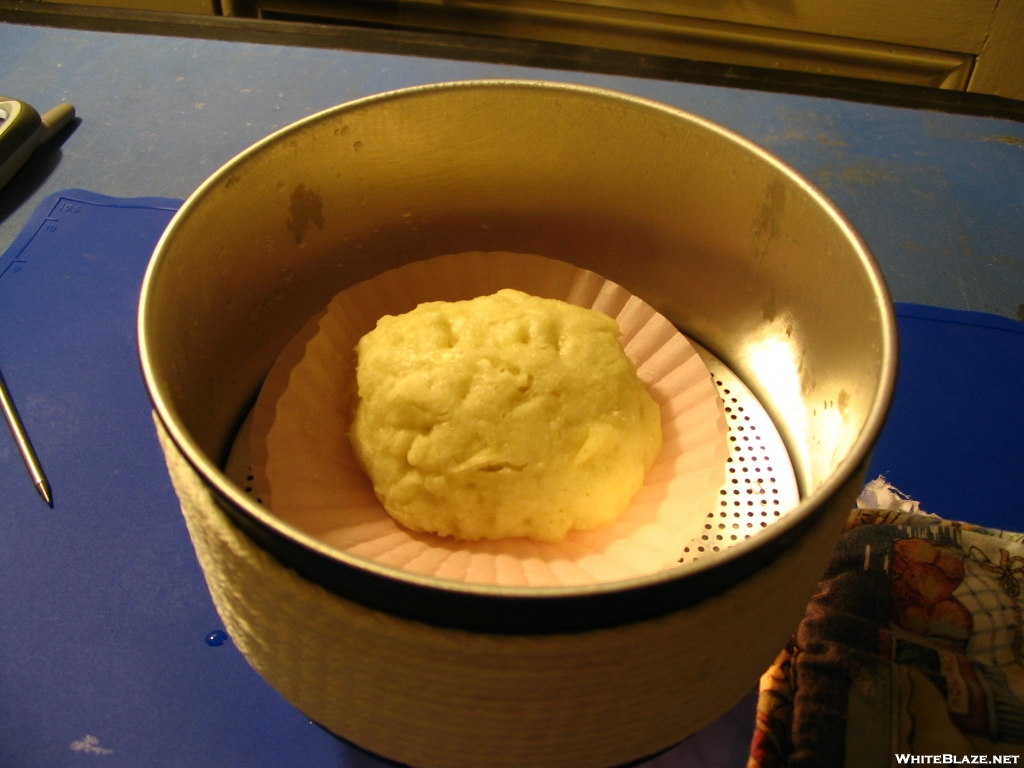 Test Biscuit One