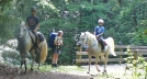 BMT horse encounters by Hikerhead in Benton MacKaye Trail