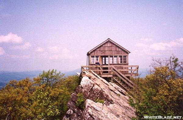 Hawk Observatory-Allegheny Trail-Va/WVa  Border