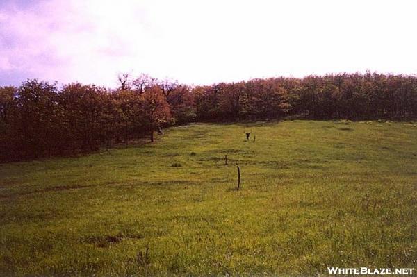 Allegheny Trail-Va/WVa border-Peters Mtn