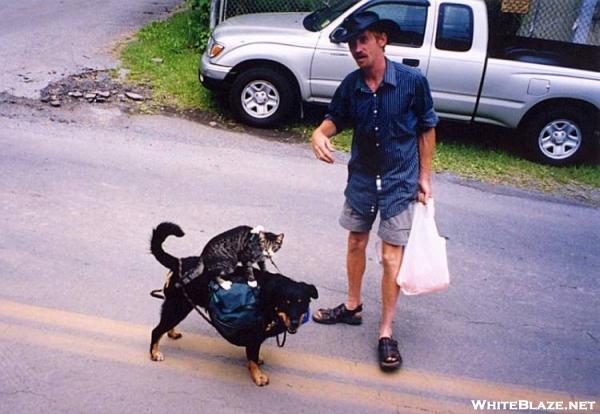 Mouse on cat on dog-Traildays 2004