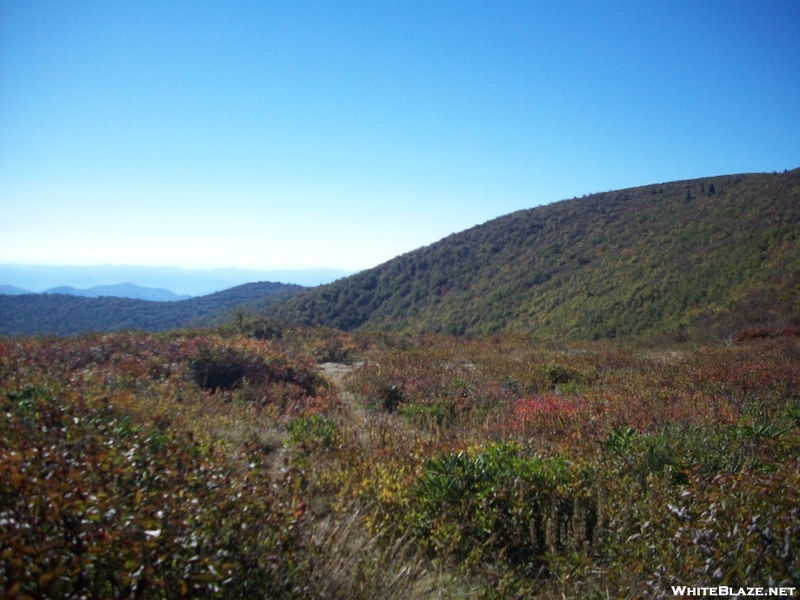 Art Loeb Trail