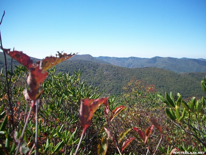 Art Loeb Trail