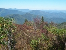 Art Loeb Trail by theinfamousj in Trail & Blazes in North Carolina & Tennessee