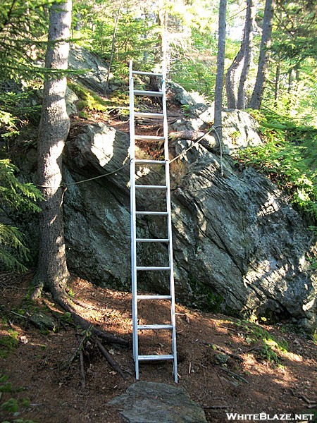 New ladder north of Kent Pond