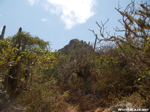 Curaco Hiking Trip