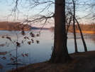 Swamp Forest Trail Lums Pond De by Jaybird62 in Other Trails