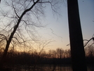 Swamp Forest Trail Lums Pond De by Jaybird62 in Other Trails