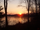 Swamp Forest Trail Lums Pond De