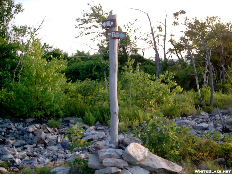 Winter Trail Junction Above Lehigh Gap