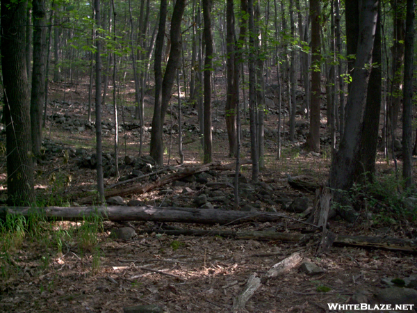 Settlement Ruins: Sterling Forest