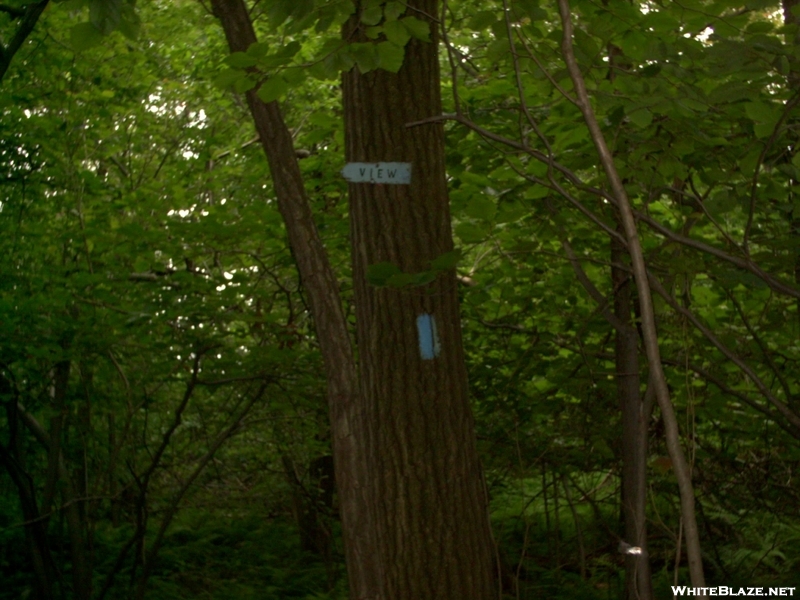 Sign For South Viewpoint Between Little Gap And Delp's Trail