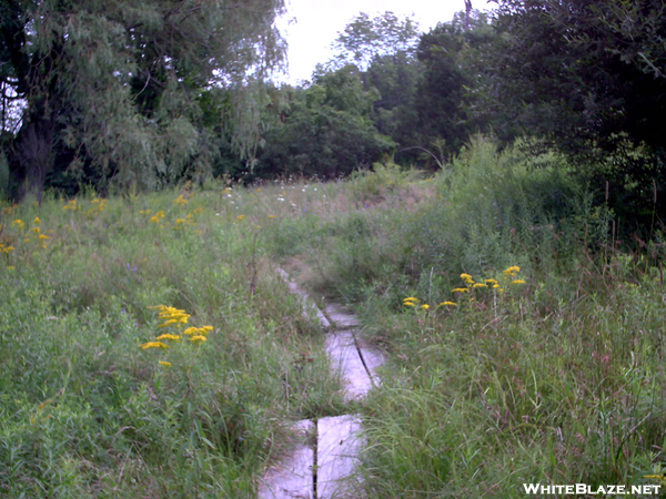 Puncheon Across Butterfly Refuge