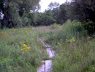 Puncheon Across Butterfly Refuge by Strategic in Trail & Blazes in New Jersey & New York