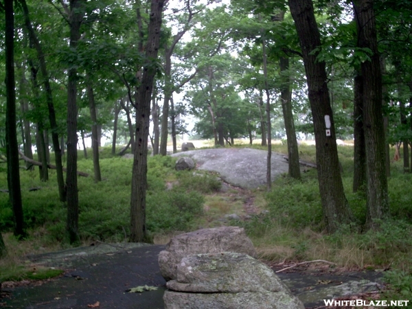 Fingerboard Mountain, Ny