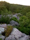 Trail Along The Eastern Pinnacles