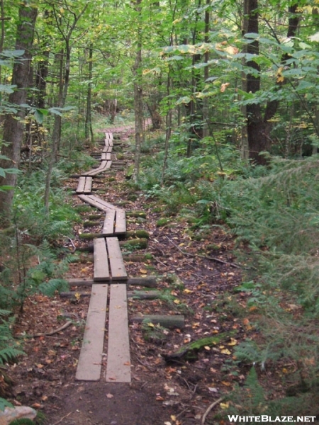 Bog Bridges VT