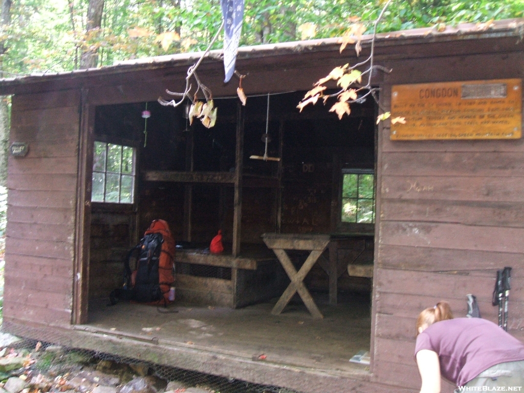 CongDon Camp