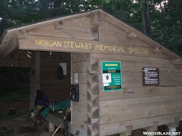 Morgan Stewart Shelter