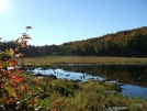 Roaring Branch 1 by sasquatch2014 in Views in Vermont