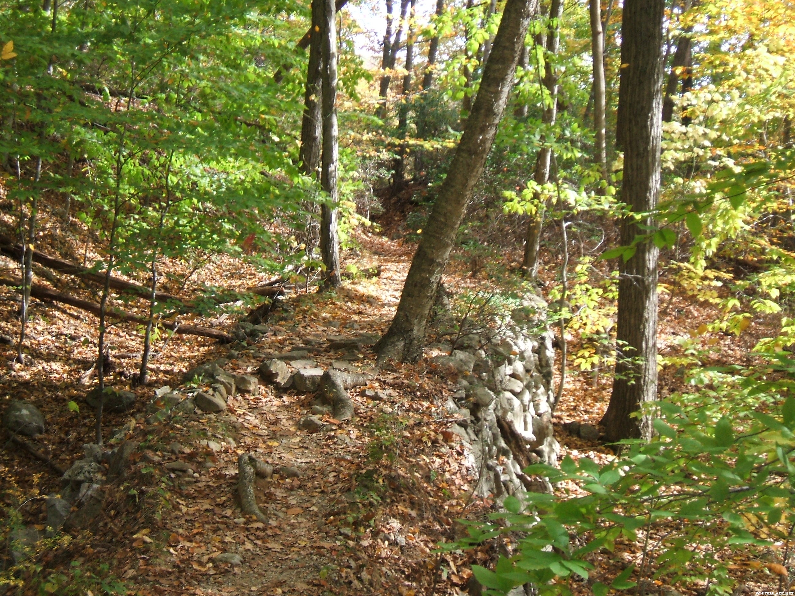 Sunk mine RR trail 2