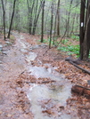 A River Runs Through It by sasquatch2014 in Trail & Blazes in Virginia & West Virginia