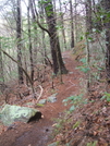 Hillside Trail by sasquatch2014 in Trail & Blazes in Virginia & West Virginia