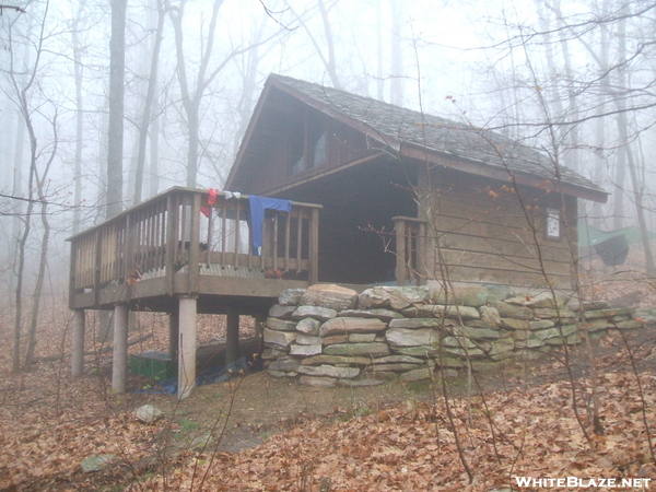 David Lesser Shelter