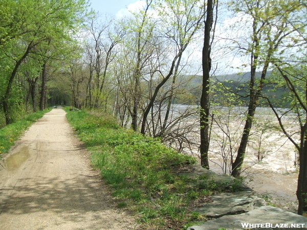 C & O Canal Path